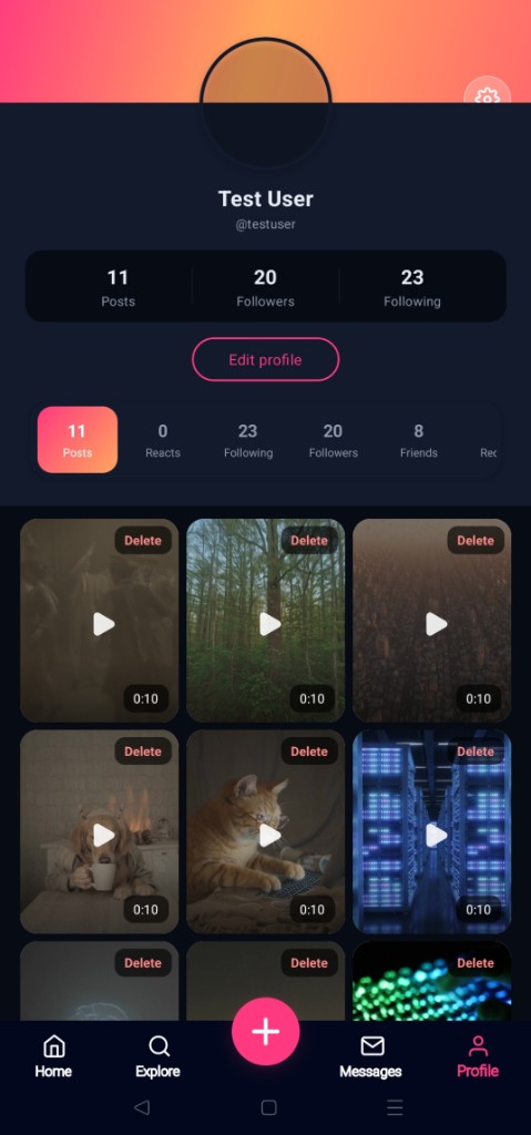 ReactHub profile with posts grid